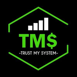 Trust My System logo